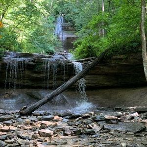 Meet your Posher, Miranda